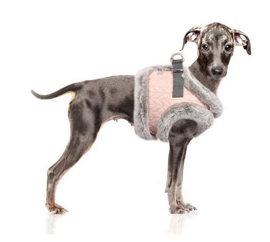 6078_janette-harness--1